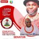 Opinion: Delta South Needs Results, Not Experiments — Why APC Delegates Should Stand With Senator Joel-Onowakpo Thomas