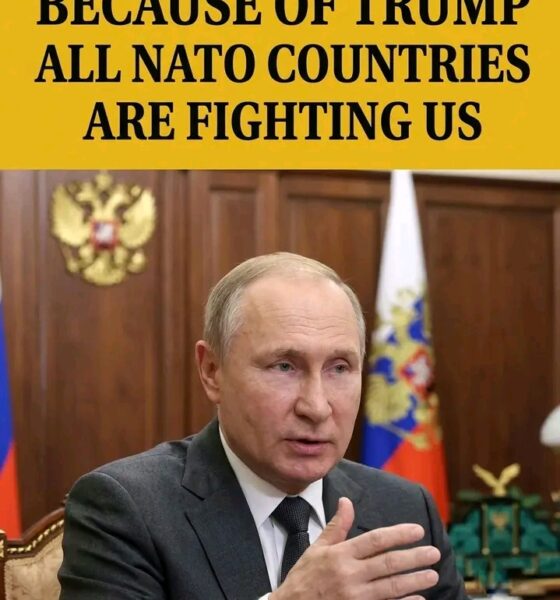 Putin Claims All 32 NATO Members Are Directly Involved in Ukraine War