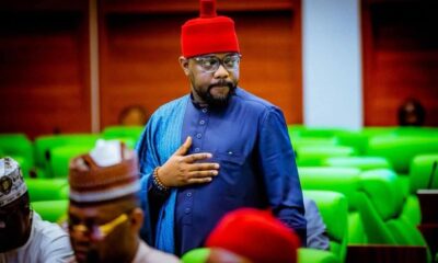 OPPOSITION LAWMAKERS BACK UGOCHINYERE FOR HOUSE MINORITY LEADER POSITION