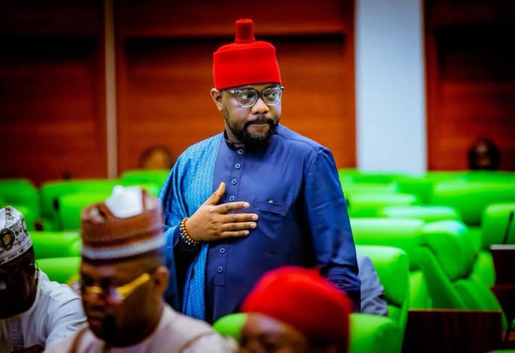 OPPOSITION LAWMAKERS BACK UGOCHINYERE FOR HOUSE MINORITY LEADER POSITION