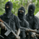 ISWAP Commanders Reportedly Clash, Several Militants Killed in Failed Mission