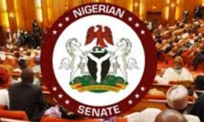 Nigeria Senate Approves State Police Bill 2026, Moves Toward Decentralised Policing System