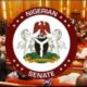 Nigeria Senate Approves State Police Bill 2026, Moves Toward Decentralised Policing System