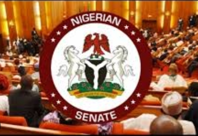 Nigeria Senate Approves State Police Bill 2026, Moves Toward Decentralised Policing System
