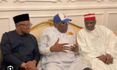 Obi, Kwankwaso Lead Appeal Against NDC Legal Setback