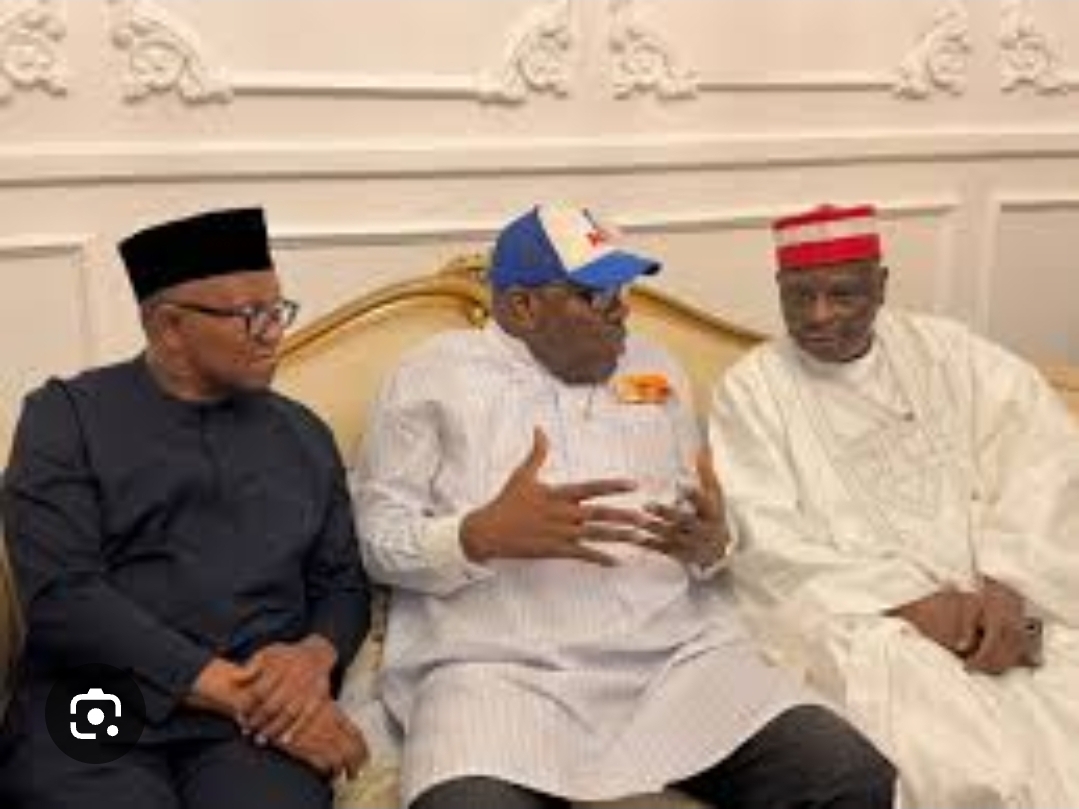 Obi, Kwankwaso Lead Appeal Against NDC Legal Setback