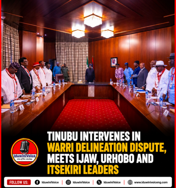 Tinubu Intervenes in Warri Delineation Dispute, Meets Ijaw, Urhobo and Itsekiri Leaders