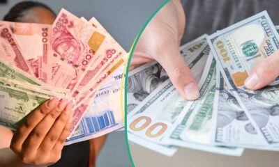 Market Volatility Hits Forex Trade as Dollar-to-Naira Exchange Rate Fluctuates