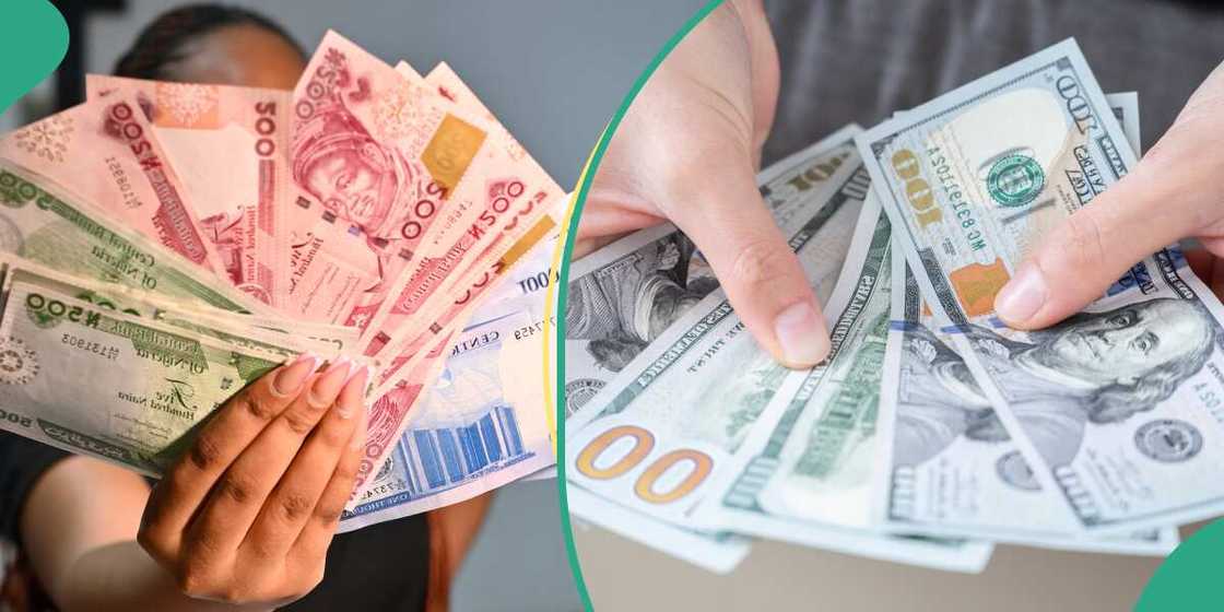Market Volatility Hits Forex Trade as Dollar-to-Naira Exchange Rate Fluctuates