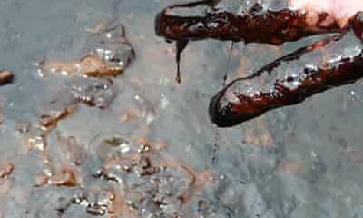 PRESS STATEMENT: CEPEJ Condemns Protracted Environmental Disaster In Delta Communities, Demands Immediate Federal Government Intervention