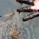 PRESS STATEMENT: CEPEJ Condemns Protracted Environmental Disaster In Delta Communities, Demands Immediate Federal Government Intervention