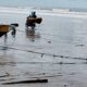 FG Responds to Obuguru Ocean Surge Crisis as NEMA, SEMA Assess Affected Communities