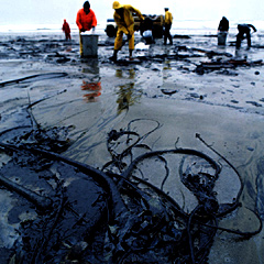 Oil Firms Blamed for 125,000-Barrel Crude Spill as Niger Delta Pollution Deepens