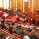 Senate Calls on Tinubu to Halt Rehabilitation of Former Terrorists