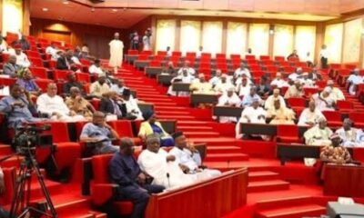 Senate Rejects Proposal to Take Over MTN, DStv Over Xenophobic Attacks in South