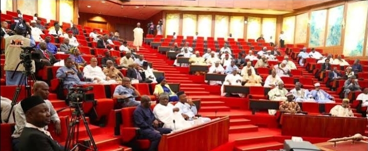 Senate Rejects Proposal to Take Over MTN, DStv Over Xenophobic Attacks in South