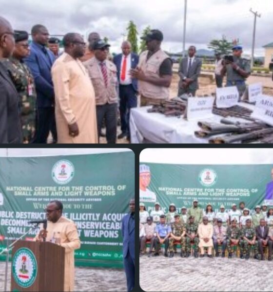 FG Intensifies Campaign Against Illegal Arms, Destroys 2,819 Weapons in Abuja