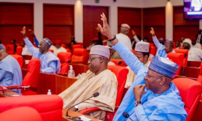 Senate Endorses ₦11.07 Trillion Customs Revenue Goal for 2026