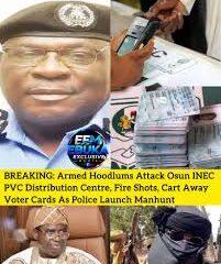 Hoodlums Attack PVC Distribution Centre, Make Away With Voter Cards in Osun