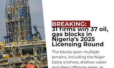 31 Companies Secure 37 Oil, Gas Blocks in Nigeria’s 2025 Licensing Round