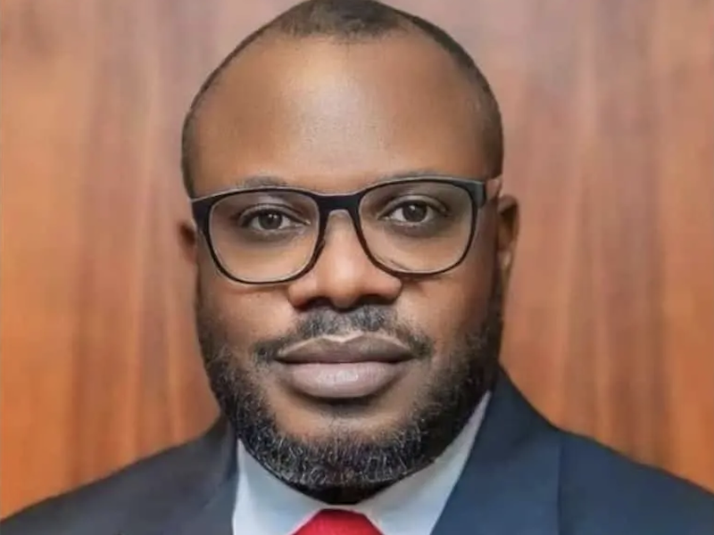 IPDI Rejects Calls for Otuaro’s Removal, Alleges Plot to Destabilise PAP