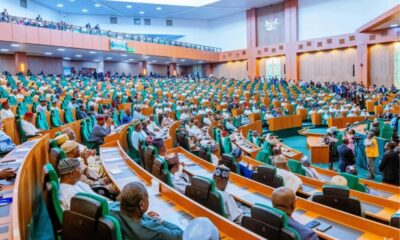 Reps Call for Immediate Rescue of 116 Abducted Persons in Borno