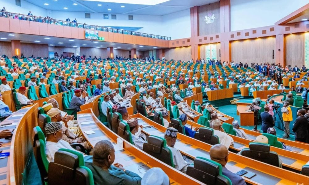 Reps Call for Immediate Rescue of 116 Abducted Persons in Borno