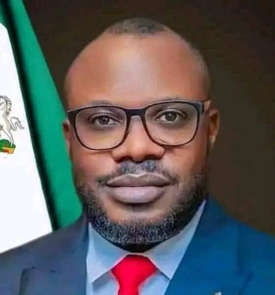 PAP: IPDI Backs Otuaro Amid Calls for His Removal
