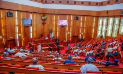 Senate Extends 2025 Capital Budget Implementation to December 31