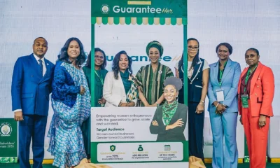 NCGC Unlocks N46.95bn Credit for 67,512 Nigerians — Tinubu