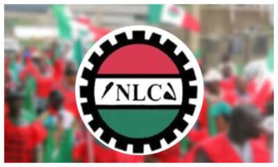 NLC Suspends FCT Indefinite Strike, Directs Teachers To Resume Wednesday