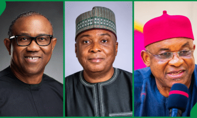 CCB Probes Peter Obi, Saraki, David Mark, Four Others Over Offshore Assets