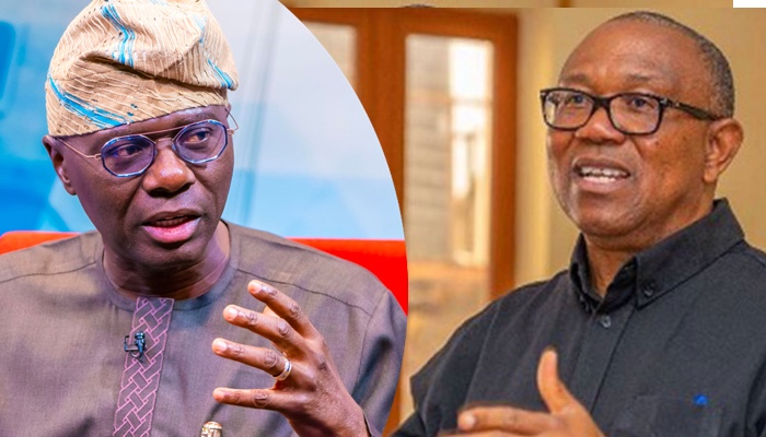 NDC Crisis: Anambra Chairman Doubts Party’s Ability to Deliver Wards for Peter Obi