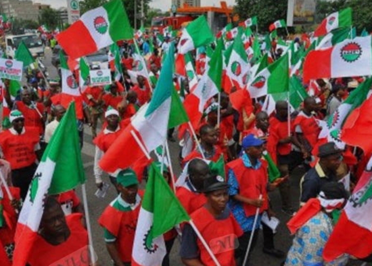 NLC Declares Indefinite Strike in FCT