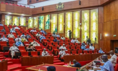 Senate Approves Tougher Penalties for Oil Spills, Targets Polluters