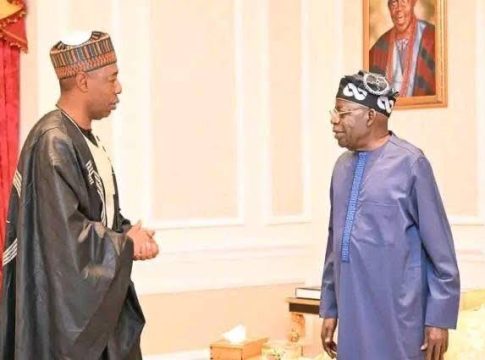 Tinubu Directs Security Agencies to Secure Release of Abducted Borno Children